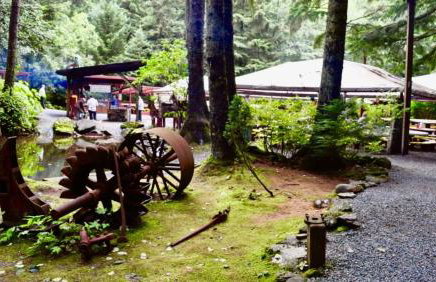 Twin Peaks - Great Location! Walk to Mendenhall Glacier - DISCOUNTS ON TOURS! - Foto 4