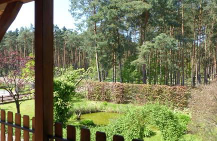 Amselgarten - Foto 52