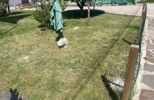 Villa Lidia & Attico degli artisti, free pets , giardino recintato e attrezzato - Foto 7