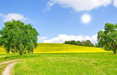 Amazing Home In Krems Iiwarderbrück - Foto 7
