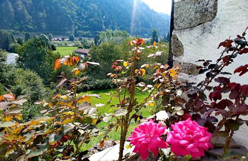 Cjasa da Puci - Foto 1