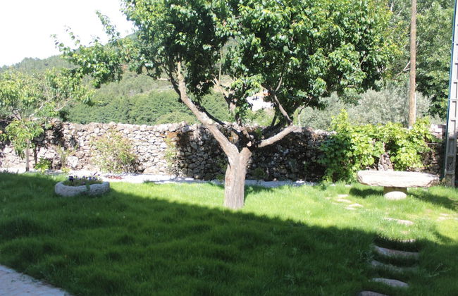 Casa Grande do Seixo - Photo 46