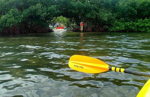 Private Patio, Walk to All, 2min- Siesta Keys Best Beach, 1min- Dining & Entertainment of Village! - Foto 52