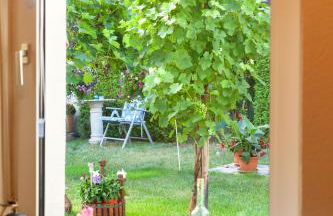 Ferienwohnung Emmi - Foto 7