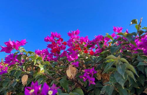 Club Salino 18 - Foto 20