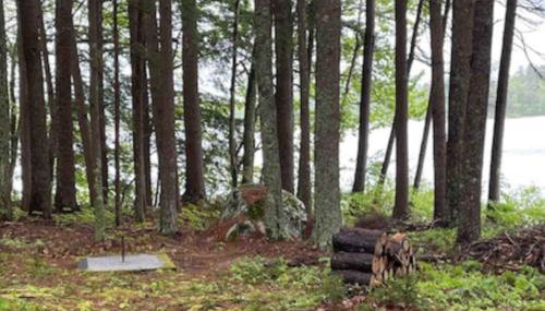 Bayberry Lakehouse - Foto 5