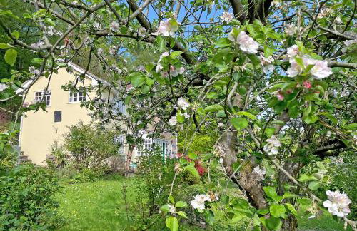 The Cottage - Foto 14