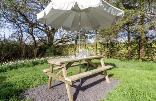 5 Ceirnioge Cottages - Photo 14