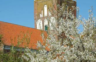 Lüttje Teihn - Foto 18