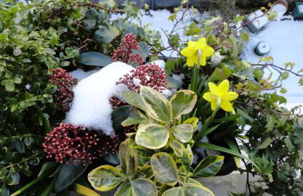 Peebles Cottage Apartment with River View and Bike Store - Foto 15