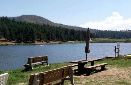 Impressive Cabin Rental with Views of Pike National Forest near Colorado Springs, Colorado - Foto 24