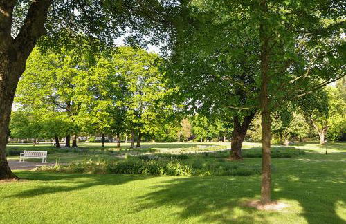 Parkblick Bad Driburg - Foto 46