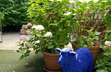 Pantone Ultra - Foto 19