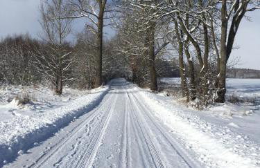 Niebieski Domek - Foto 55