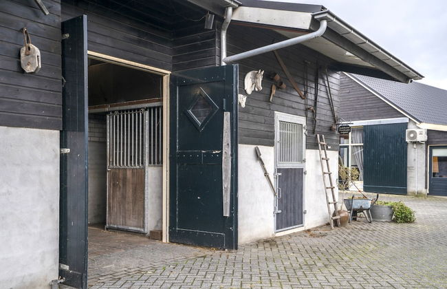 Lamperse hei - Photo 29