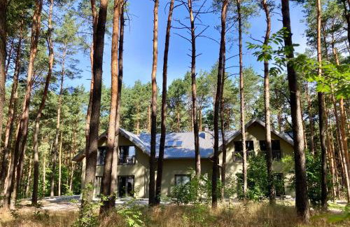 Góra Spokoju Osada klimatyczna-leśna - Foto 16