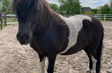 Ferienhof Kunzog - Foto 30