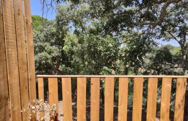 Cabanas de Melides - Foto 13