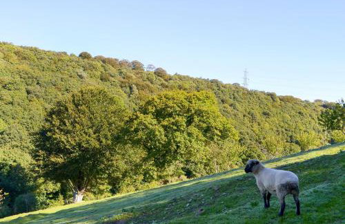 Woodland Retreat - Foto 36