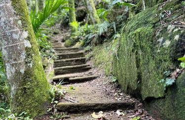 Canto da cascata - Foto 55