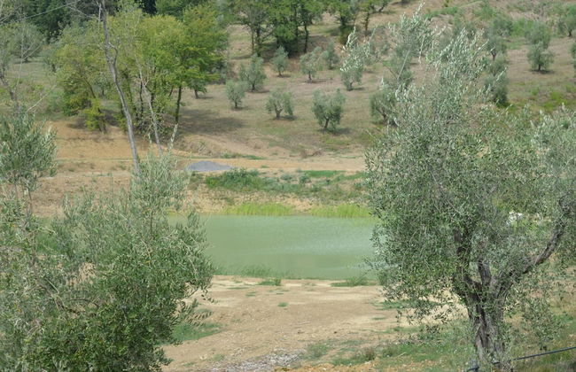 Podere delle Fanciulle - Foto 44