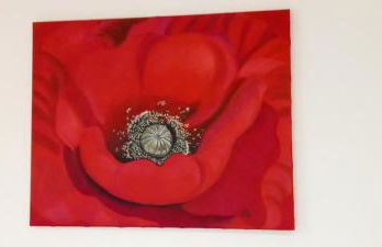 Gite les carriaux - Foto 15