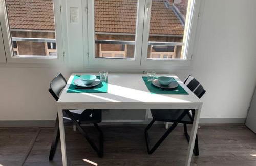 Saint Etienne : Studio hyper centre - Foto 4