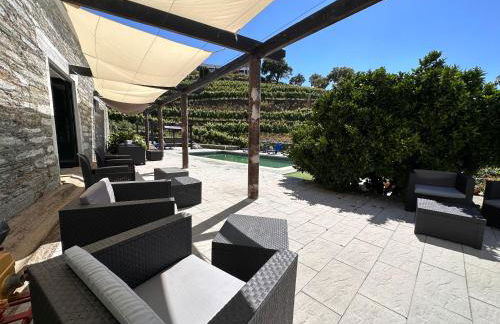 Quinta da Casa Cimeira, Guest House, Wines & Food - Foto 32