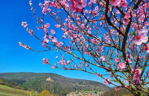 Ferienhaus am Park - Foto 13