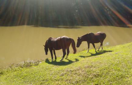 Hotel Fazenda Bandeirantes - Foto 14