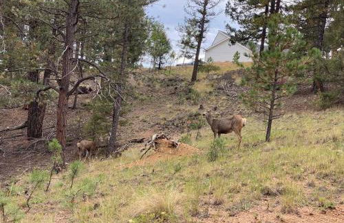 Rustic cabin charm w/ hot tub, arcade basketball - Foto 29