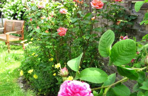 Ferienwohnung Erfurt - Foto 26