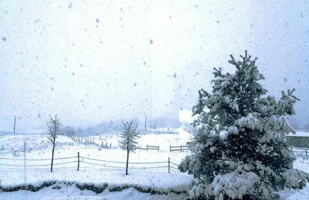 Apartment Lipa - Foto 14