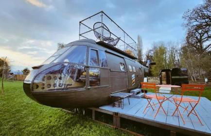 Oscar the Puma at Field of Dreams - Foto 1