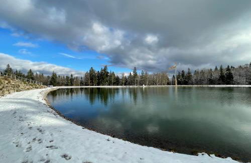 Two Apartaments Almberg - Mitterdorf-Mitterfirmiansreut - Foto 36