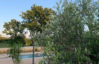 Kuća Kavrana - Foto 17