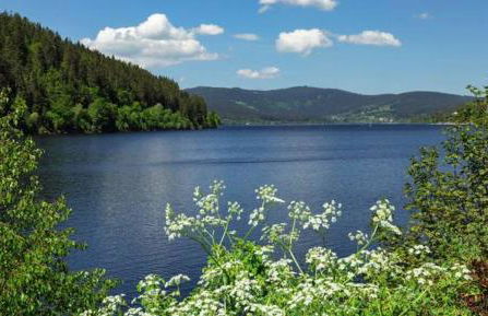 Haus Schluchseeblick - Foto 41