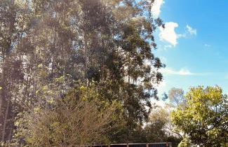 Cabana de teto de vidro - Foto 49