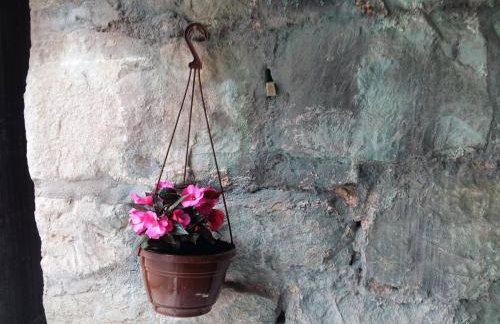 Apartments Bepina - Foto 29