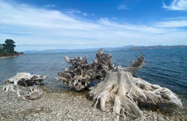 Ivory Apartment - Photo 26