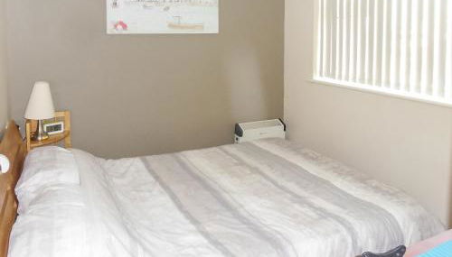 Hollyhocks - Photo 5