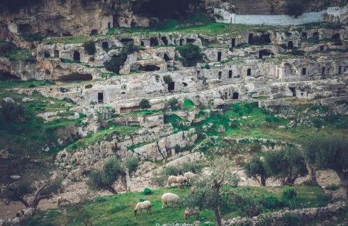 Agriturismo La Stornara - Foto 63