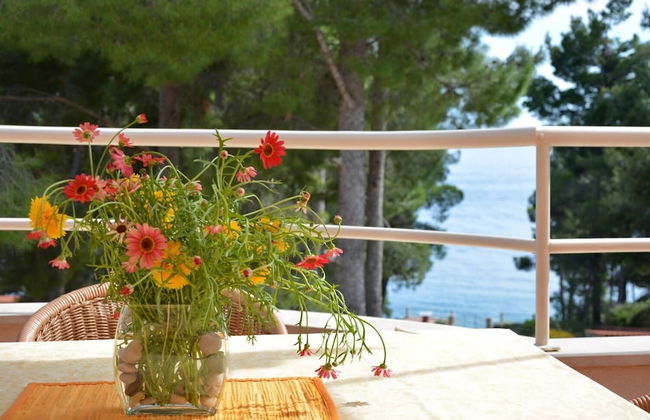 Dino - Gorgeous Garden - SA2 Jelsa - Photo 1