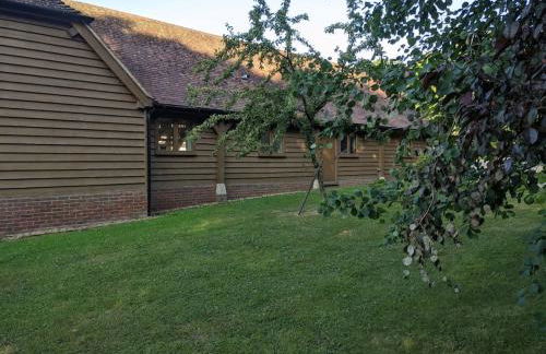 The Barn New Forest Free Paddle boarding & free Zip wire. - Foto 14