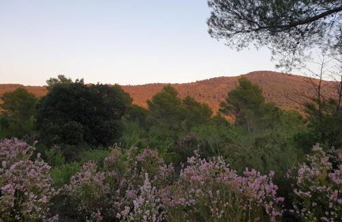 Gîte dans Mas provençal ,havre de paix - Foto 23