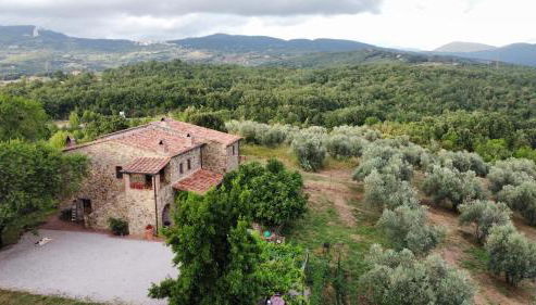 Sport Bikes and Nature - Foto 3