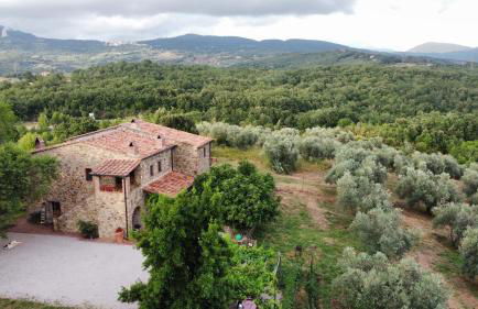 Sport Bikes and Nature - Foto 3