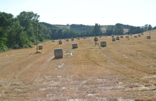 Le Logge di Caprera - Photo 22