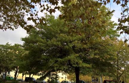 Appartement Matabiau - Foto 27