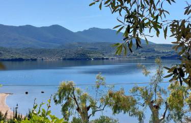 Violetta Studios & Apartments - Foto 59